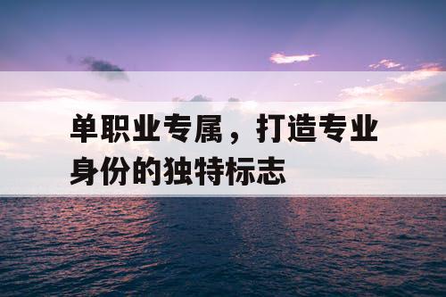 单职业专属,打造专业身份的独特标志 单职业专属,打造专业身份的独特标志