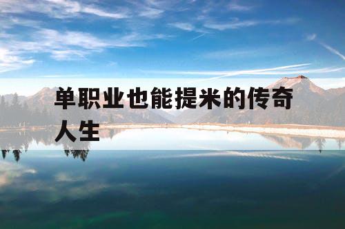 单职业也能提米的传奇人生