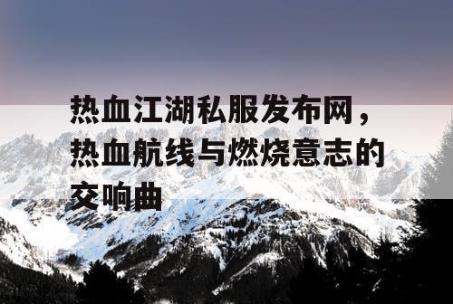 热血江湖私服发布网，热血航线与燃烧意志的交响曲