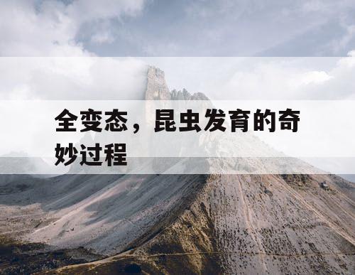 全变态,昆虫发育的奇妙过程 全变态,昆虫发育的奇妙过程