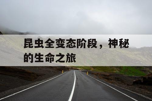 昆虫全变态阶段,神秘的生命之旅 昆虫全变态阶段,神秘的生命之旅