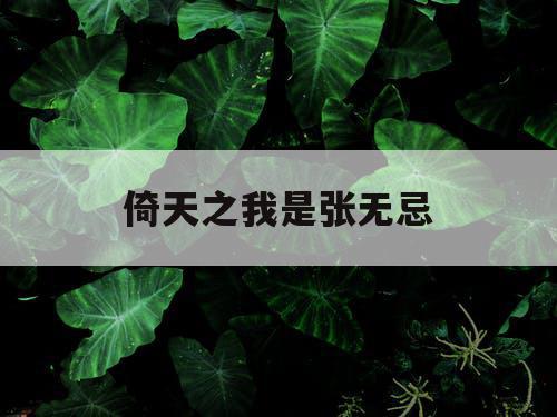 倚天之我是张无忌 倚天之我是张无忌