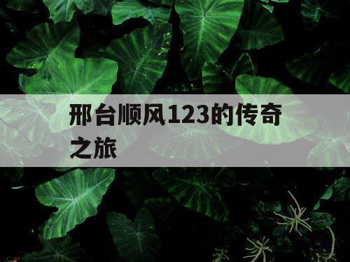 邢台顺风123的传奇之旅 邢台顺风123的传奇之旅
