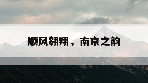 顺风翱翔,南京之韵 顺风翱翔,南京之韵