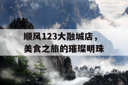 顺风123大融城店，美食之旅的璀璨明珠