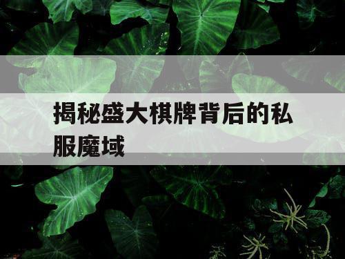 揭秘盛大棋牌背后的私服魔域
