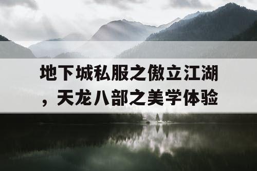 地下城私服之傲立江湖，天龙八部之美学体验