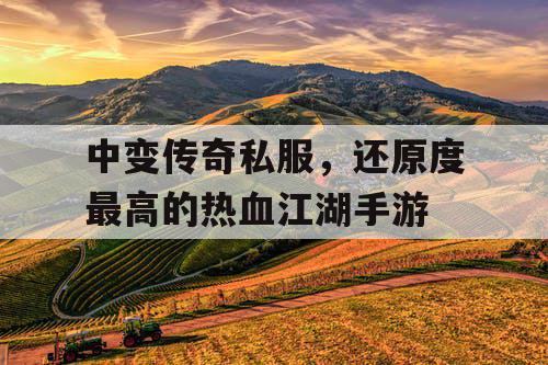 中变传奇私服，还原度最高的热血江湖手游