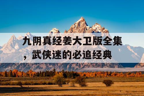 九阴真经姜大卫版全集,武侠迷的必追经典 九阴真经姜大卫版全集,武侠迷的必追经典