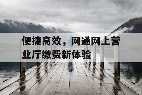 便捷高效，网通网上营业厅缴费新体验