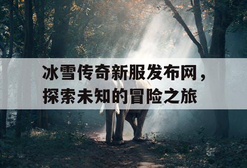冰雪传奇新服发布网，探索未知的冒险之旅