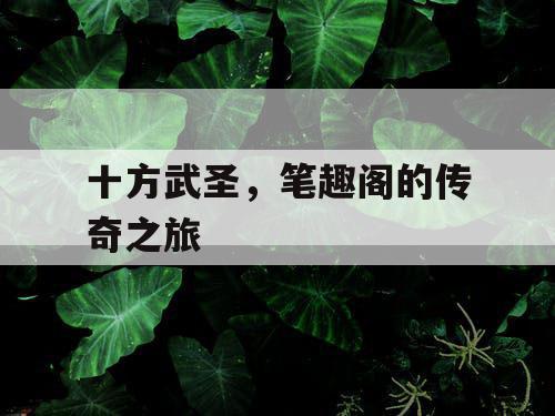 十方武圣,笔趣阁的传奇之旅 十方武圣,笔趣阁的传奇之旅