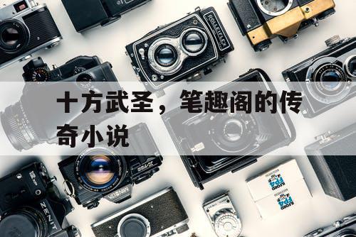 十方武圣，笔趣阁的传奇小说