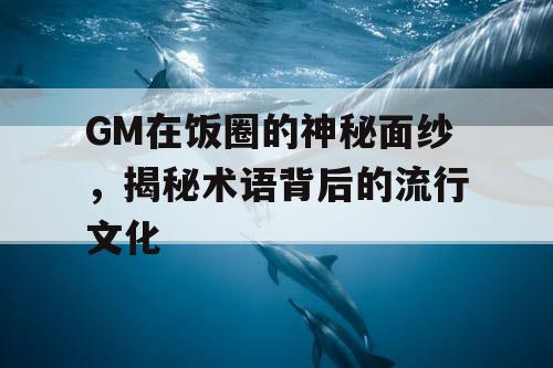 GM在饭圈的神秘面纱,揭秘术语背后的流行文化 GM在饭圈的神秘面纱,揭秘术语背后的流行文化