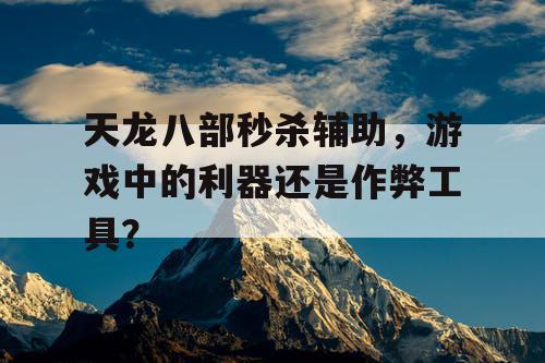 天龙八部秒杀辅助，游戏中的利器还是作弊工具？