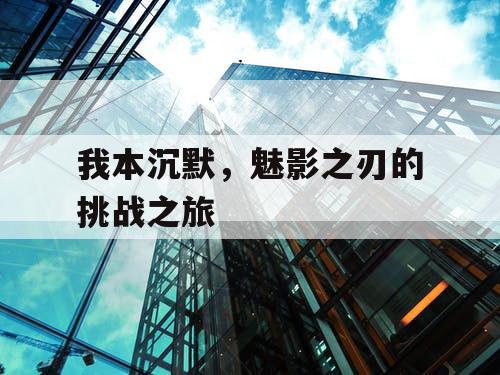 我本沉默,魅影之刃的挑战之旅 我本沉默,魅影之刃的挑战之旅