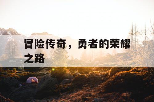 冒险传奇，勇者的荣耀之路