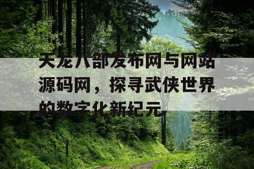 天龙八部发布网与网站源码网，探寻武侠世界的数字化新纪元