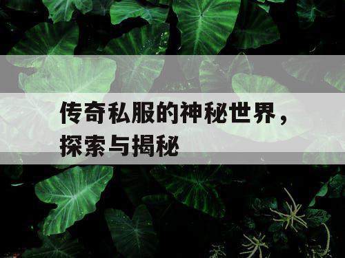传奇私服的神秘世界,探索与揭秘 传奇私服的神秘世界,探索与揭秘