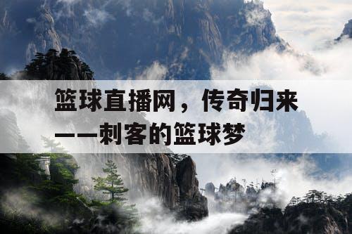 篮球直播网，传奇归来——刺客的篮球梦
