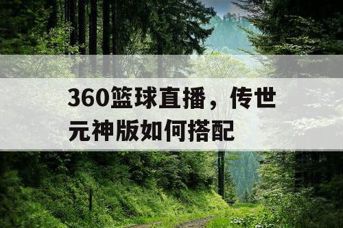 360篮球直播，传世元神版如何搭配