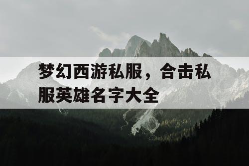 梦幻西游私服，合击私服英雄名字大全
