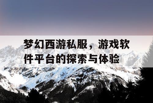 梦幻西游私服，游戏软件平台的探索与体验