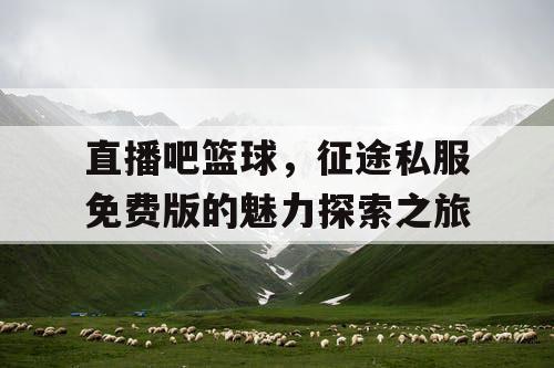直播吧篮球，征途私服免费版的魅力探索之旅