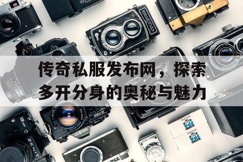 传奇私服发布网，探索多开分身的奥秘与魅力