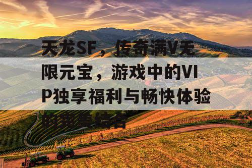 天龙SF,传奇满V无限元宝,游戏中的VIP独享福利与畅快体验的完美结合 天龙SF,传奇满V无限元宝,游戏中的VIP独享福利与畅快体验的完美结合