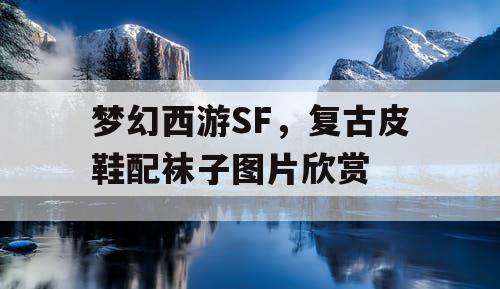 梦幻西游SF,复古皮鞋配袜子图片欣赏 梦幻西游SF,复古皮鞋配袜子图片欣赏