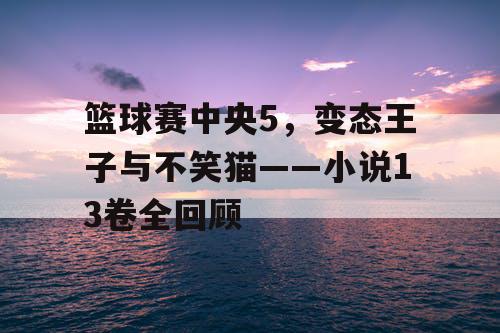 篮球赛中央5,变态王子与不笑猫——小说13卷全回顾 篮球赛中央5,变态王子与不笑猫——小说13卷全回顾