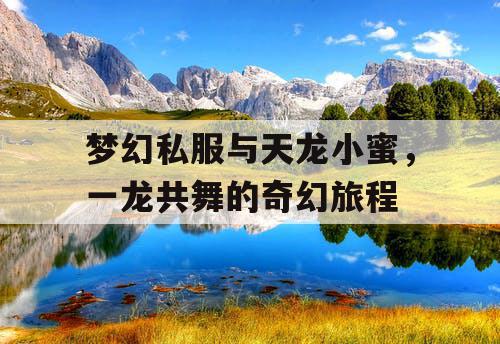 梦幻私服与天龙小蜜,一龙共舞的奇幻旅程 梦幻私服与天龙小蜜,一龙共舞的奇幻旅程