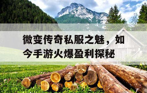 微变传奇私服之魅,如今手游火爆盈利探秘 微变传奇私服之魅,如今手游火爆盈利探秘