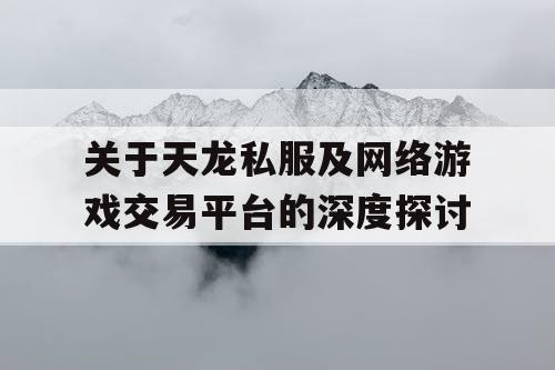 关于天龙私服及网络游戏交易平台的深度探讨