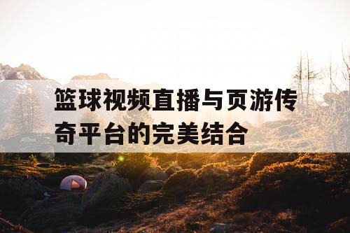篮球视频直播与页游传奇平台的完美结合