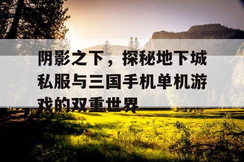阴影之下，探秘地下城私服与三国手机单机游戏的双重世界