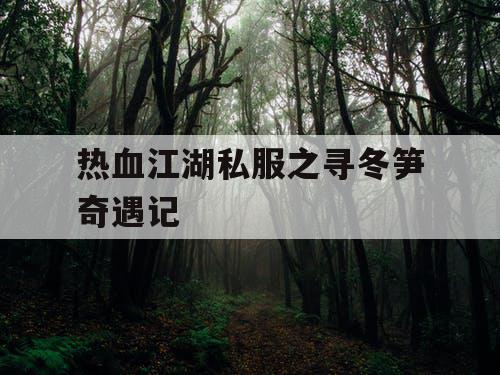 热血江湖私服之寻冬笋奇遇记