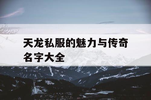 天龙私服的魅力与传奇名字大全