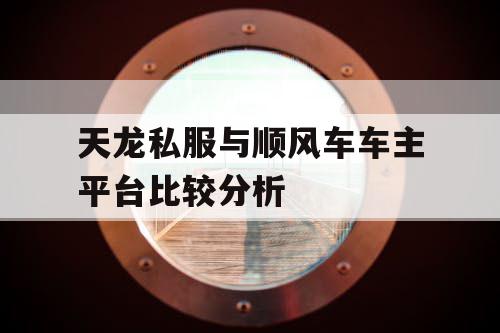 天龙私服与顺风车车主平台比较分析 天龙私服与顺风车车主平台比较分析