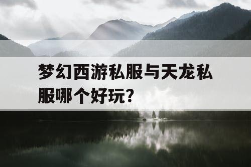 梦幻西游私服与天龙私服哪个好玩？