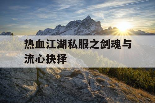 热血江湖私服之剑魂与流心抉择