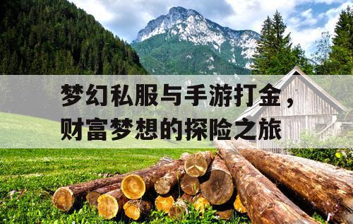 梦幻私服与手游打金，财富梦想的探险之旅