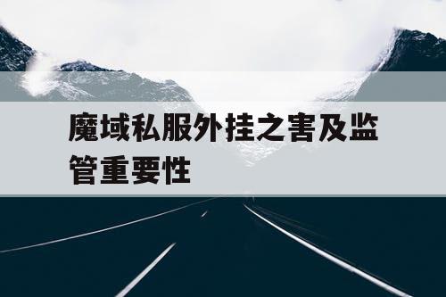 魔域私服外挂之害及监管重要性