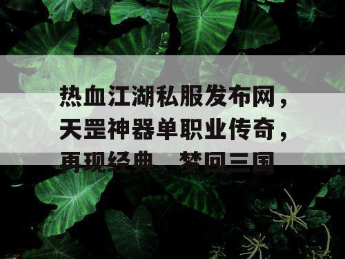 热血江湖私服发布网,天罡神器单职业传奇,再现经典,梦回三国 热血江湖私服发布网,天罡神器单职业传奇,再现经典,梦回三国