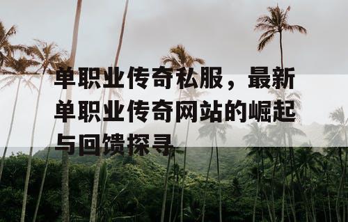 单职业传奇私服，最新单职业传奇网站的崛起与回馈探寻