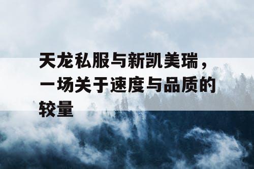 天龙私服与新凯美瑞,一场关于速度与品质的较量 天龙私服与新凯美瑞,一场关于速度与品质的较量