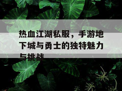 热血江湖私服,手游地下城与勇士的独特魅力与挑战 热血江湖私服,手游地下城与勇士的独特魅力与挑战