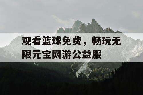 观看篮球免费，畅玩无限元宝网游公益服