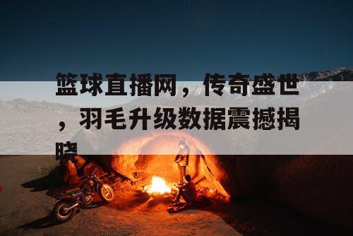 篮球直播网,传奇盛世,羽毛升级数据震撼揭晓 篮球直播网,传奇盛世,羽毛升级数据震撼揭晓